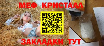 прущие грибы Заволжье