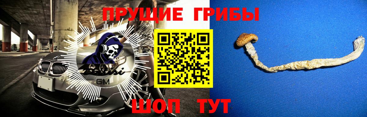 Псилоцибиновые грибы Psilocybine cubensis Кузнецк