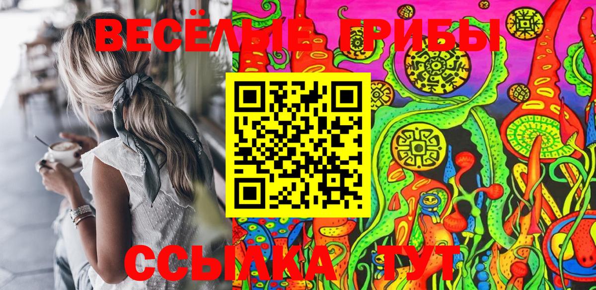 Кузнецк  Галлюциногенные грибы мицелий  Вход с VPN 