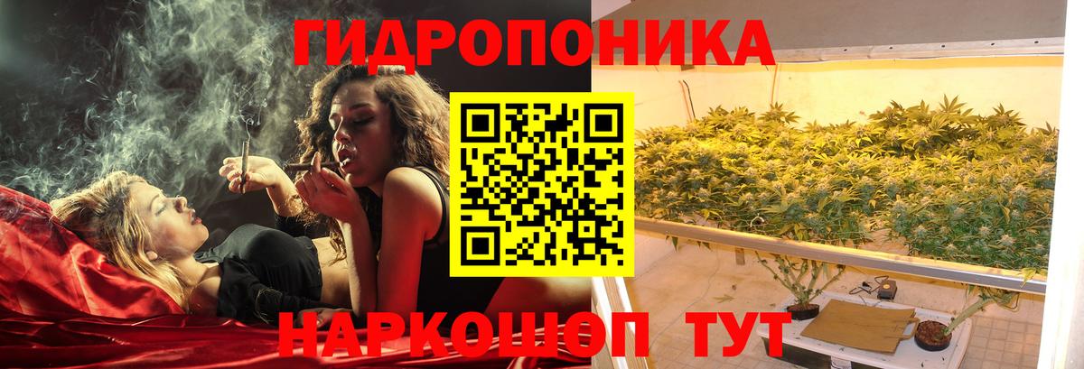 Кузнецк  Каннабис конопля  Вход с VPN  Каннабис White Widow  Канабис THC 21% 