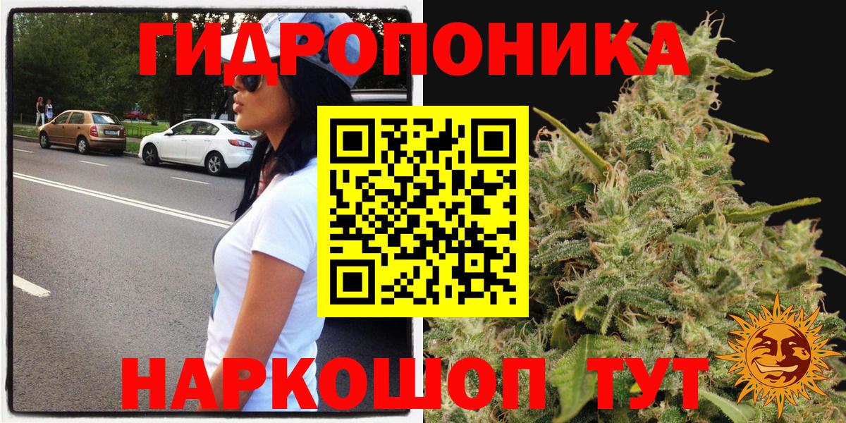 Шишки марихуана гибрид Кузнецк